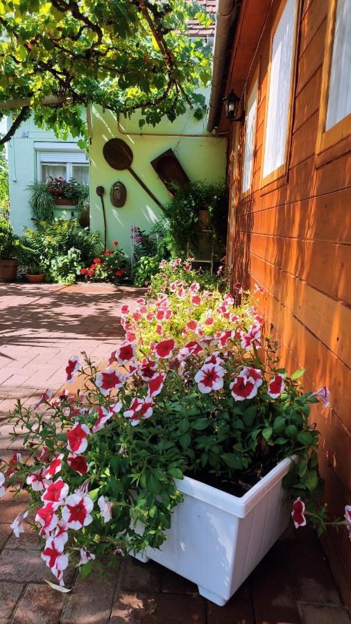 Opusztaszeri Mozes Vendeghaz Hotel Exterior foto